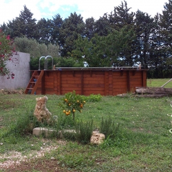 Piscine bois octogonale 4,50 x h1,20m