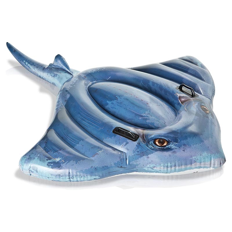 Raie manta Raie manta