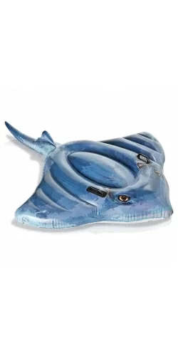 Raie manta