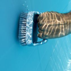 Brosse manuelle Graphite