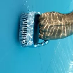 Brosse manuelle Graphite