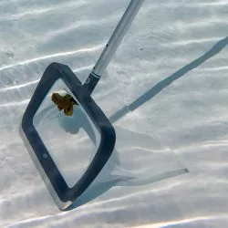 Epuisette de fond Graphite Epuisette de fond Graphite