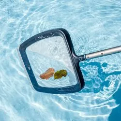 Epuisette de surface Graphite