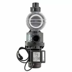 Pompe Pentair Swimmey