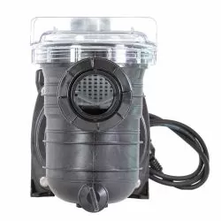 Pompe Pentair Swimmey