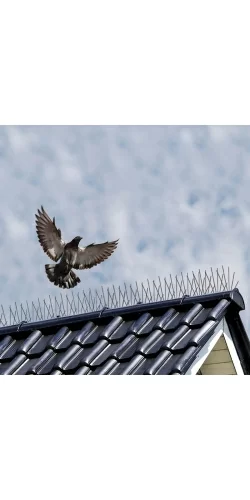 Bande de pics métalliques anti-oiseaux
