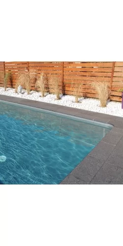 Liner piscine 75/100ème vernis APF Dreamliner 2015 imprimé