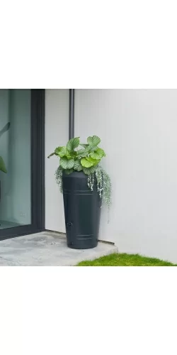 Récupérateur d'eau forme vasque Nature