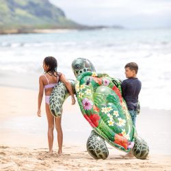 Tortue de Mer Aloha Intex