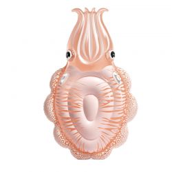 Matelas seiche nacrée Intex