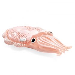 Matelas seiche nacrée Intex