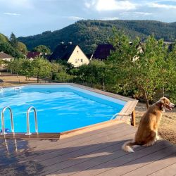 Piscine bois Altanka Nemo 7,30 x 3,97 x h1,45m