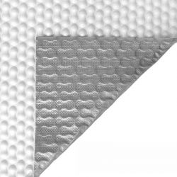 Bâche à bulles Geobubble 500 microns RaeGuard
