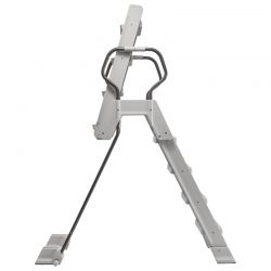 Echelle de sécurité Intex premium
