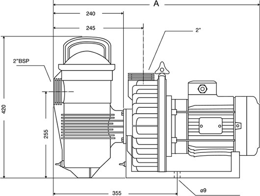 Pompe piscine Pentair Challenger