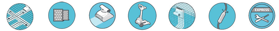 Caractéristiques robot Dolphin star plus
