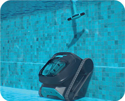 Click Up Dolphin Liberty 300