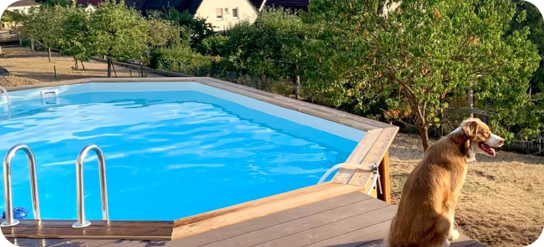 Piscine bois ovale Altanka 7,30 x 3,97 h1,45m sur terrasse bois